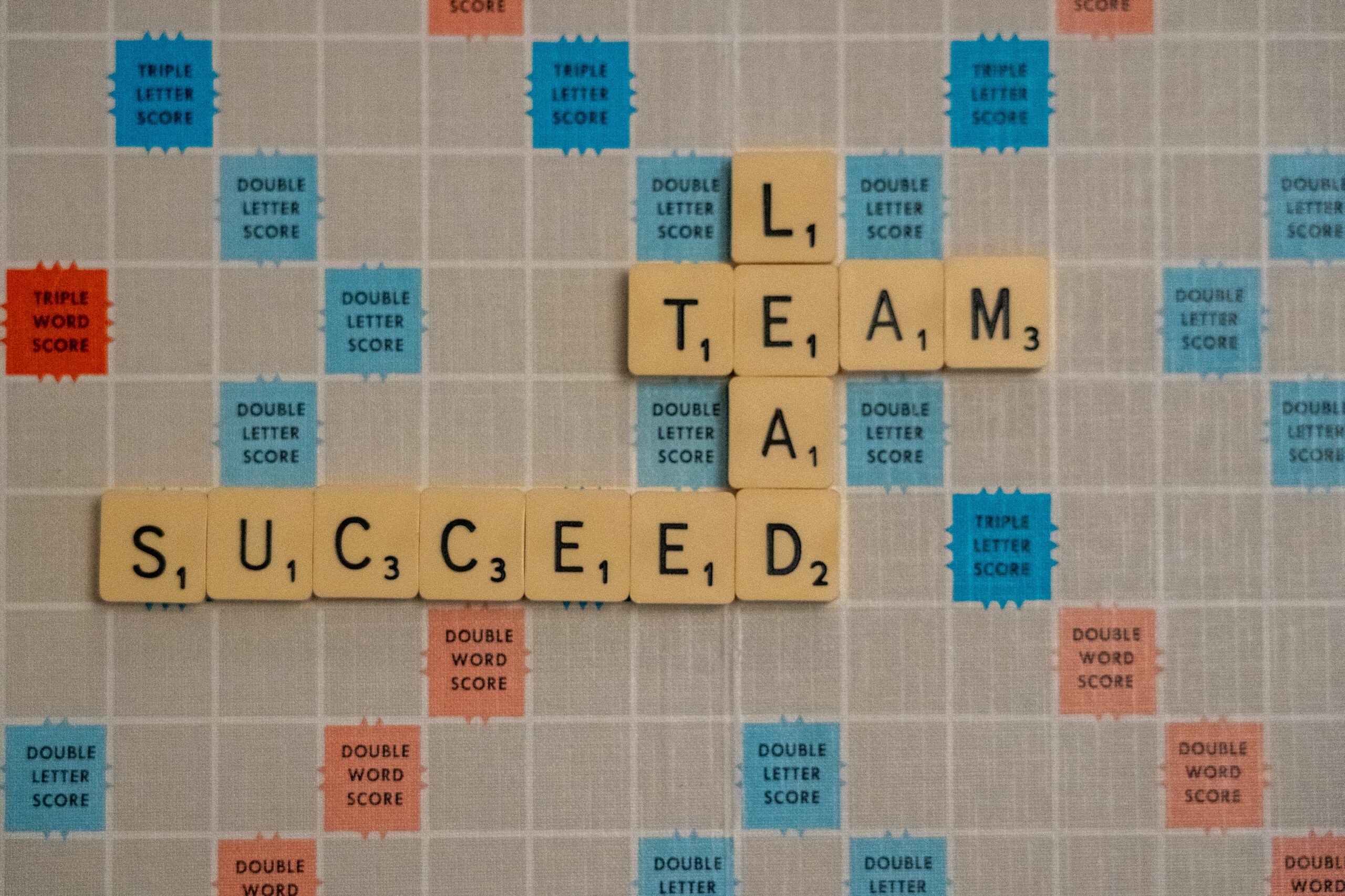 Lead Team Succeed letters on canvas
